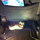 Illustration for article titled FWD Friday- Seat Repair